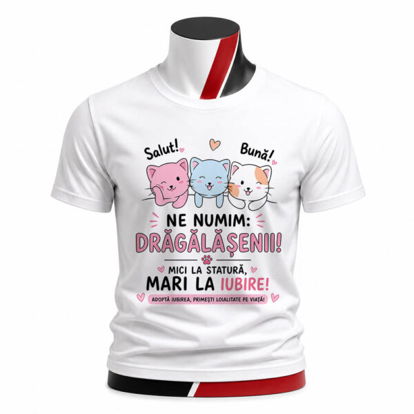 Tricou personalizat cu trei pisicuțe adorabile și mesajul Ne numim Drăgălășenii. Imprimare premium prin sublimare material confortabil și design rezistent.